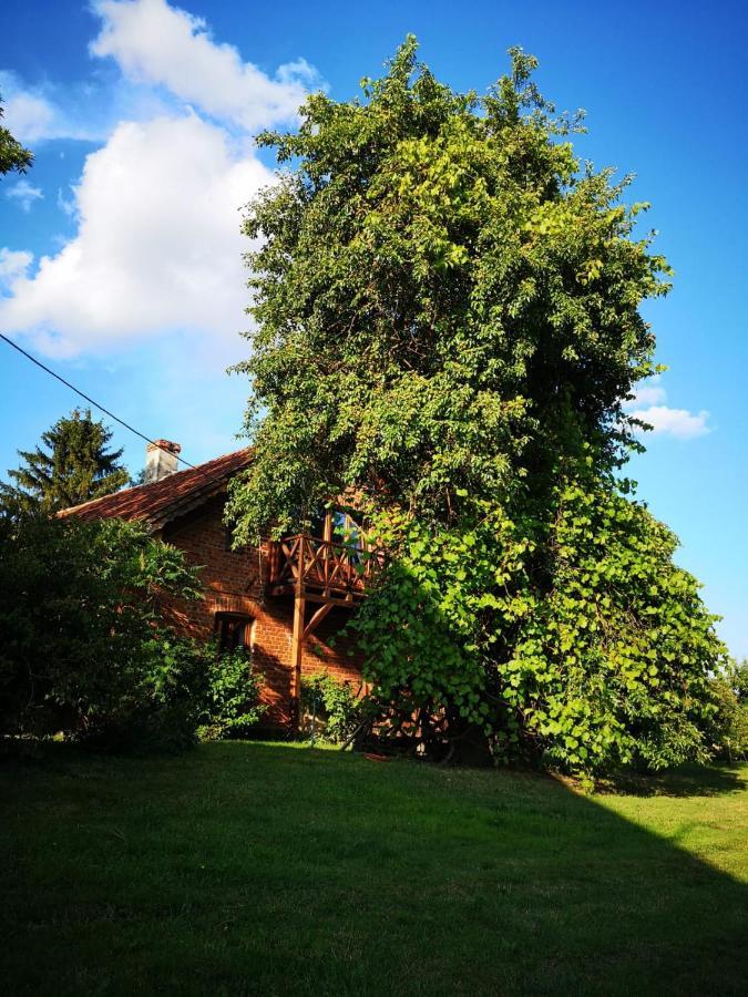 Gospodarstwo Agroturystyczne "Dom Na Kolonii" Prostki Esterno foto